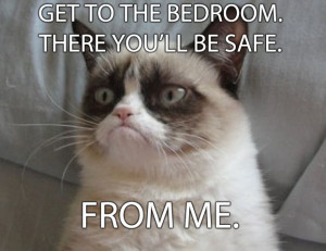 Family Trapped in Bedroom by Extremely Grumpy Cat, Forced to Call 911
