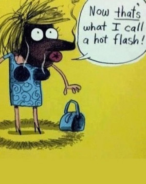 hot flashes joke LOL!! Funny Cartoon Joke!
