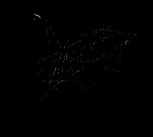 Quotes Picture: some people claim that marriage interferes with ...