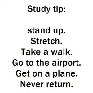 Study tip: Stand up. Stretch. Take a walk. Go to the airport. Get on a ...