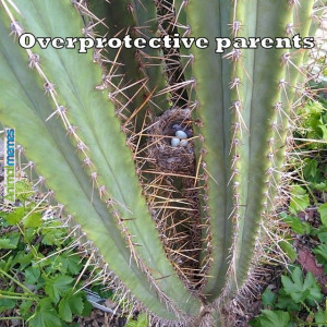 Animal memes – Overprotective parents