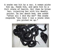 you knew i was a snake pretty much yeah true if it looks like a snake ...