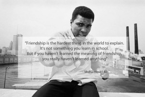 Famous quotes on friendship (15 pictures)