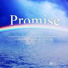 The Promise More