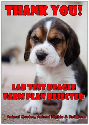 ... .co.uk/news/lab-test-beagle-farm-plan-rejectedAnimal Quotes