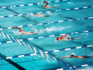 Stockton Summer Swim League