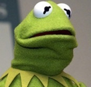 unfortunate reaction face from Kermit the Frog