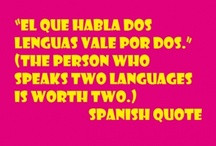 ... - Inspirational Quotes / by Mis Amigos Languages-Bilingual Education