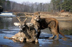 source: http://www.thenatureslover.blogspot.com/