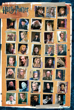 Home Harry Potter 7 Characters Maxi Poster