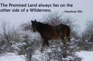 The Promised Land always lies on the other side of a Wilderness ...