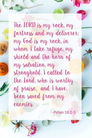 Psalms Quotes About Strength. QuotesGram