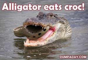alligator eats croc! copy