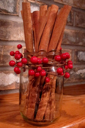 ... Cinnamon Sticks, Decoration, Winter Holidays, Christmas Decor, Mason