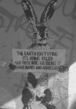 graffiti Black and White hipster indie Grunge edit Street Art urban
