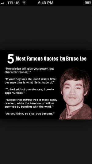 Via Pilar Pacheco Espinoza