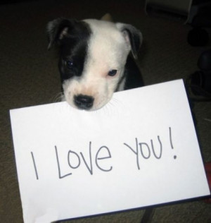 dog+i+love+you.jpg