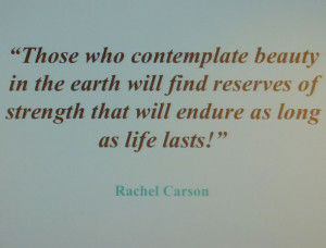 INSPIRATIONAL PHOTO – Beauty, Rachel Carson