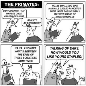 Click each thumbnail to get the full size image.