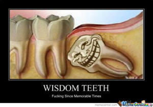 Wisdom Teeth
