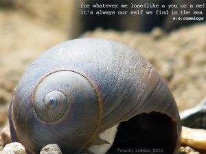 Graphy Sea Shell Quote