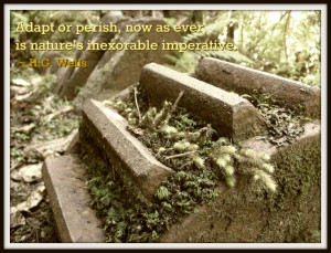 ... imperative. ~ H. G. Wells #Steampunk #Quotes Steampunk Quotes