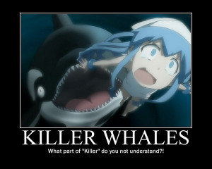 Killer Whales...lol squid girl.