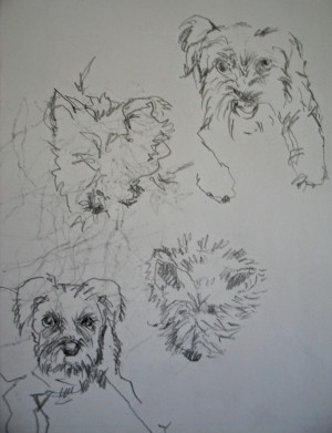 ... landlady s two dogs both white both long haired carol landlady and