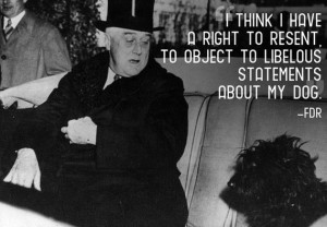 quotes_that_will_make_you_want_to_hug_your_pet