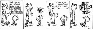 Best of Calvin and Hobbes