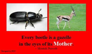 ... beetle is a Gazelle in the eyes of its mother