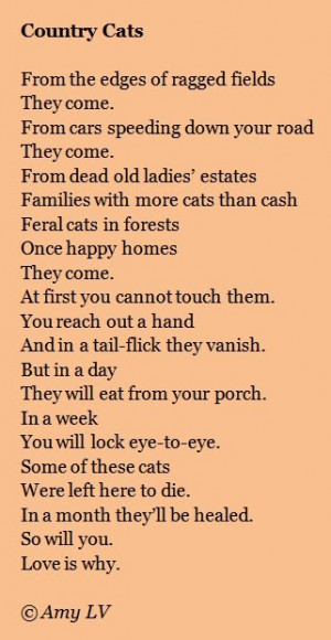 Poems And Quotes About Cats