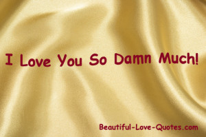 Love You So Much Quotes I love you so damn much