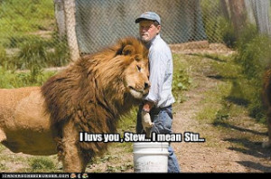 funny lion quotes,funny lion sayings life,funny lion good quotes,funny ...