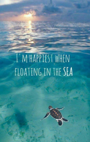 Ultimate Happiness quotes #Quotes