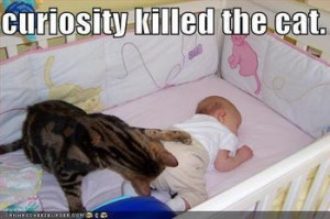 Did curiosity really kill the cat?