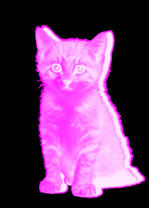 pastel goth cat
