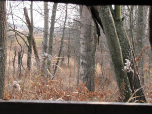 2009 Deer Hunting Image