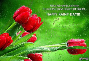 Funny rainy day sayings and quotes Wallpapers HD HD