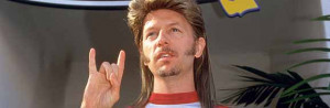 Related Pictures joe dirt mullet wig more colors available mullet wigs