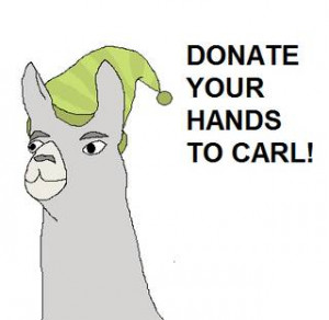 Donate Your Hands - Llamas with Hats Picture