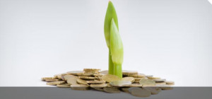 Private Equity Investments