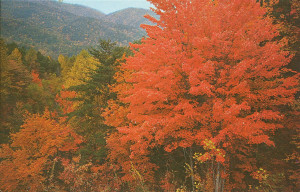 Smoky Mountains National Park