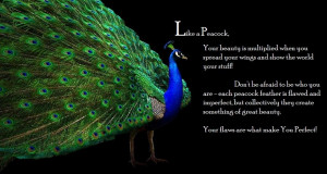 Like a Peacock, Your Beauty is multiplied when you spread your wings ...