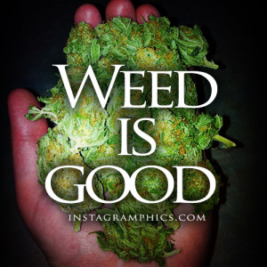 Weed Is Good Quote Graphic