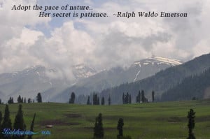 Waldo Emerson Quotes Nature