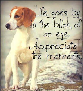 Life Goes By In The Blink Of An Eye . appreciate the moments.