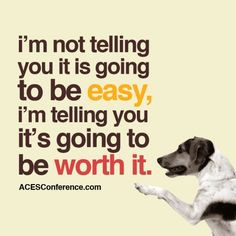 ... animal welfare and stop pet euthanasia forever. www.acesconference.com