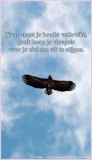 Waar angst je kracht verbruikt, geeft hoop je vleugels voor je ziel om ...