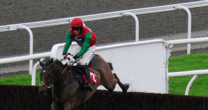 Dodging Bullets: Quoted for the Arkle Trophy